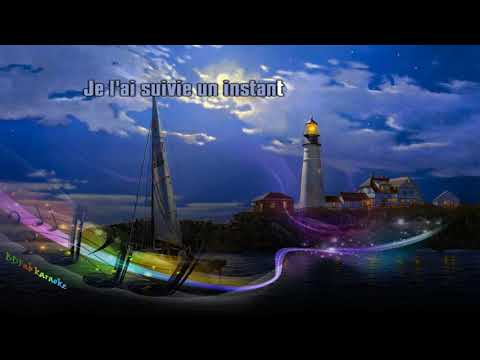 Garou & Céline Dion - Sous le vent (voix féminine) (2000) [BDFab karaoke]