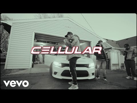 Vato BeenPaid - Cellular