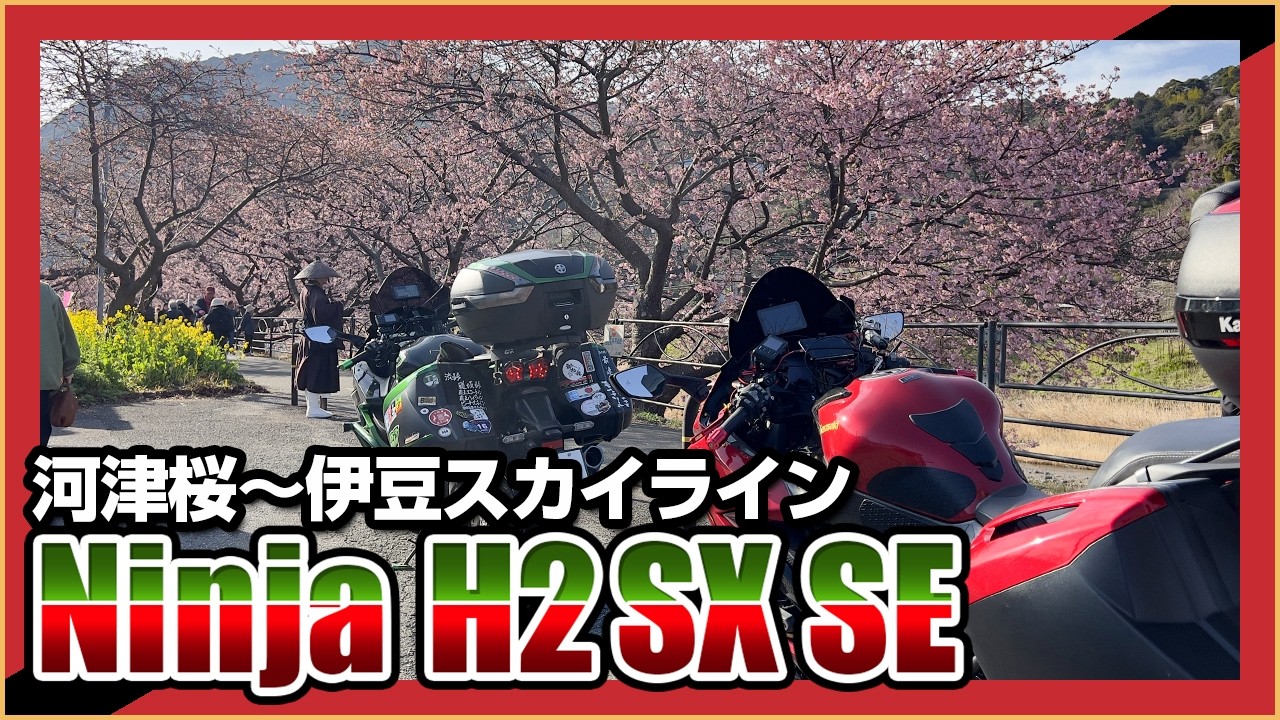 【最強ツアラーで行く】大阪〜伊豆400km弾丸ツーリング！満開の河津桜と絶景の伊豆スカイライン完全攻略【Ninja H2SX SE】