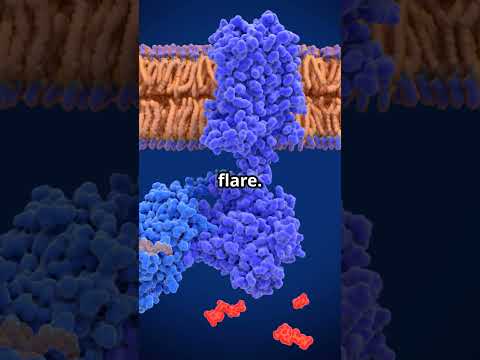 22.5mg Tescilar Leuprolide Acetate Injection