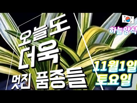 유튜브 썸네일