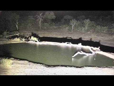 Djuma Private Game Reserve Live Stream