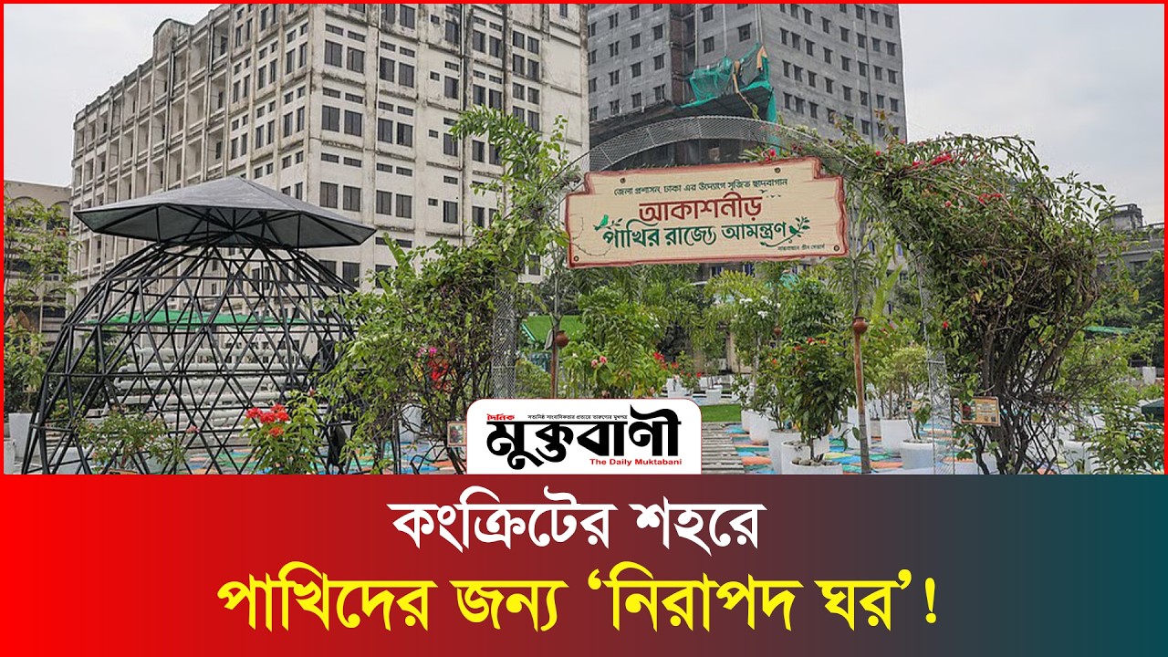  পুরান ঢাকায় পাখিদের জন্য ব্যতিক্রমী আশ্রয়