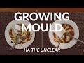 Growing Mould - Ha the Unclear 