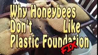 Beekeeping / Why Aren&#39;t The Bees Building Comb / Plastic Foundation Issues
