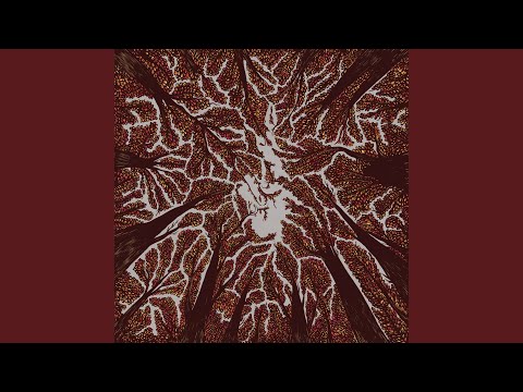 Dont Open Your Eyes - Trash Boat