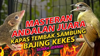 Download lagu MASTERAN JUARA LOMBAHAN KAPAS TEMBAK VS BAJING KEKES TEMBAKAN ROLL PANJANG SUARA JERNIH mp3 Download lagu MASTERAN JUARA LOMBAHAN KAPAS TEMBAK VS BAJING KEKES TEMBAKAN ROLL PANJANG SUARA JERNIH mp3