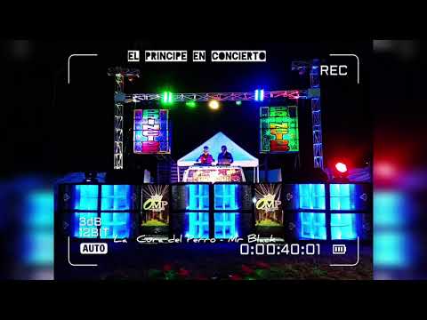 La  Cura del Perro - Mr Black - El Príncipe en concierto