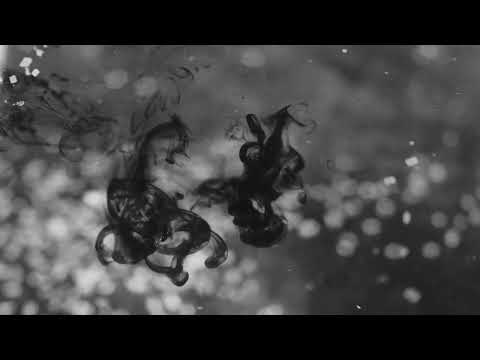 "Gravity" from FALL & RISE album 2022 (CamJazz) – Maxime Bender  Universal Sky - Maxime Bender