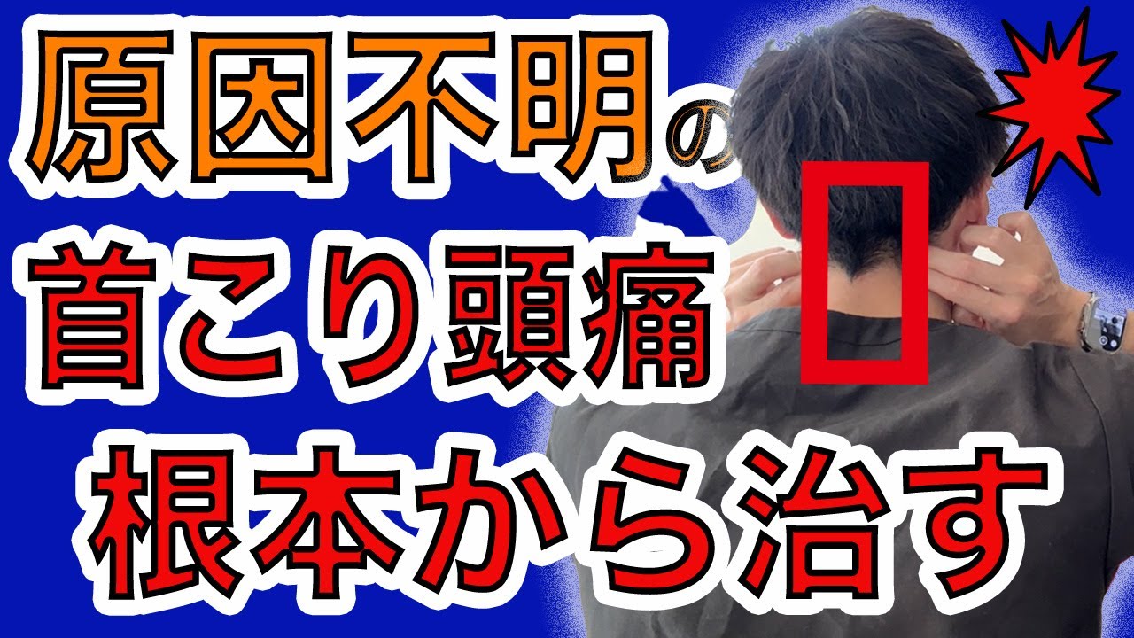 【種明かし】原因不明の慢性的な首こり頭痛（首の後ろ、横の痛み）根本解消の秘訣！セルフマッサージ（テニスボール使用）とエクササイズ【後頭下筋、板状筋、斜角筋筋膜リリース】