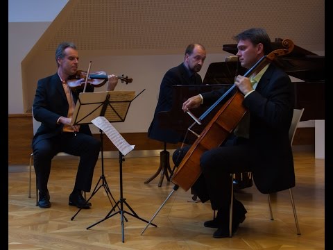 Trio Martinu