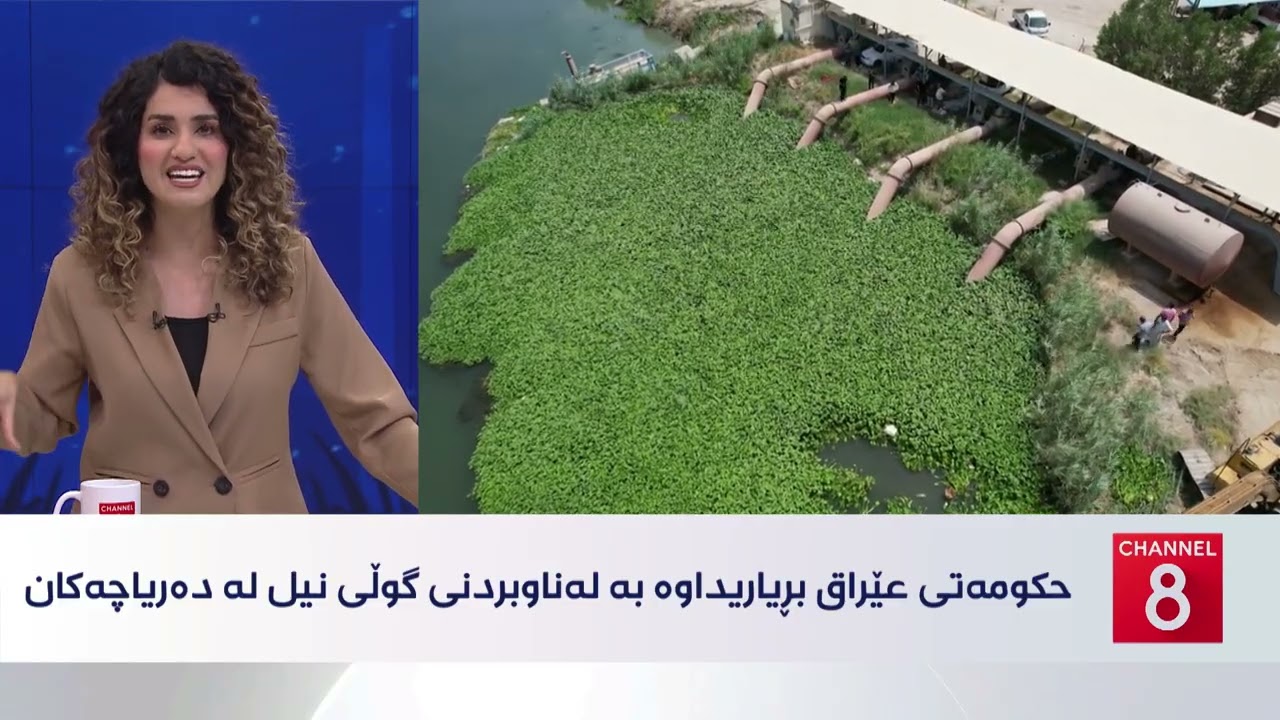 ڤیدیۆ | دەنگی زەوی - گوڵی نیل مەترسیی ژینگەیی بۆ سەرچاوە ئاوییەکانی عێراق دروست دەکات