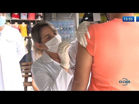 Farmacêuticos do Piauí se capacitam para aplicarem vacinas contra o Coronavirus 21 01 2021