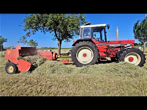 International 1055 mit WELGER AP 42 Ballenpresse & die gute alte Zeit!!