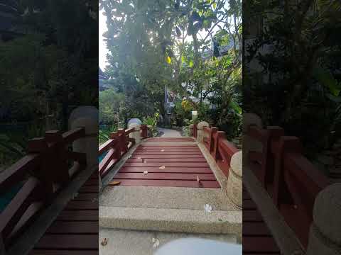 our first time in Thailand 🇹🇭 😍  Thavorn Beach Village resort and Spa