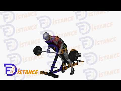 Rowing en pronation à la barre en incliné sur banc - Exercice Rowing en pronation à la barre en incliné sur banc en vidéo