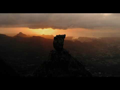 Видеообзор