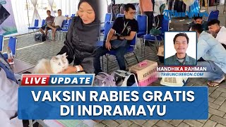 Vaksin Rabies Gratis di Indramayu, Ratusan Kucing Kesayangan Divaksinasi Massal