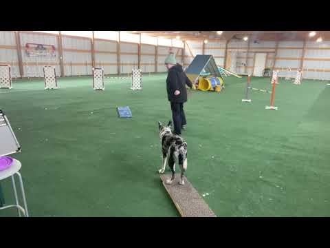 Zest lesson 6 side changes