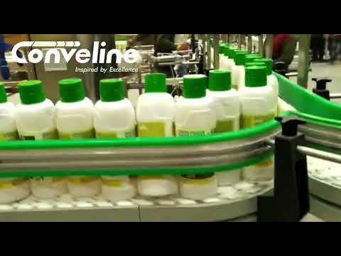 Flexible Chain Conveyor