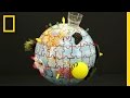 GeoBee Geography National Geographic