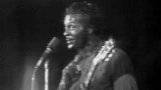 Chuck Berry - My Ding-A-Ling - 11/2/1972 - Hofstra University