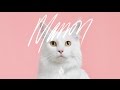 De Jeugd Van Tegenwoordig - Manon De Jeugd Van Tegenwoordig - Manon