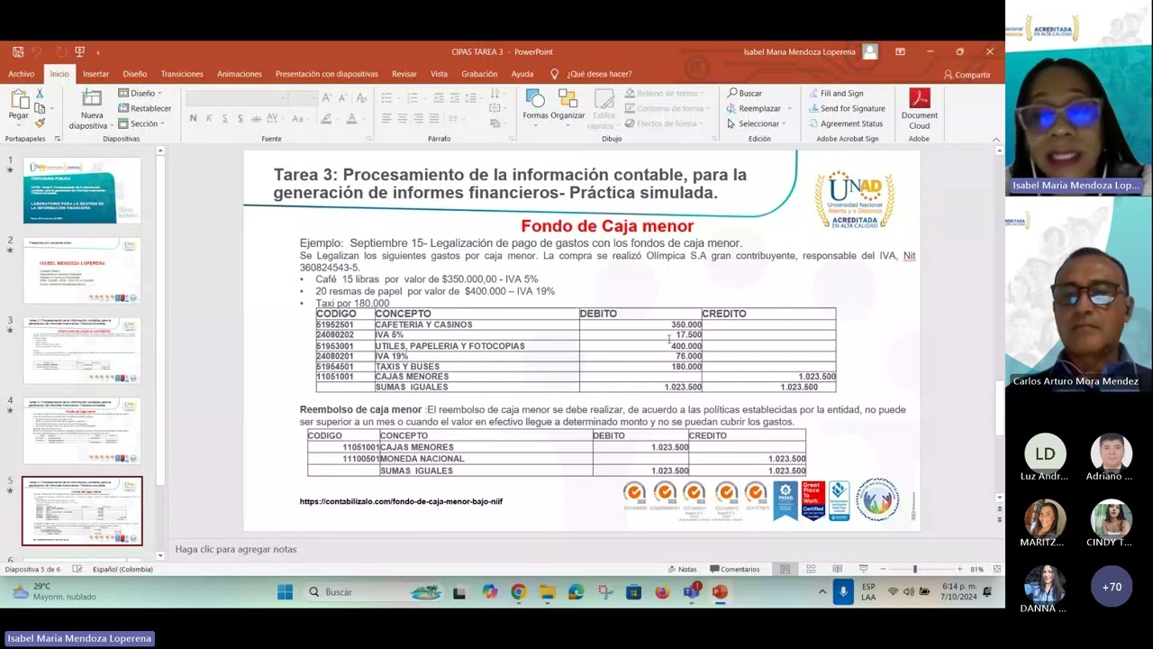 CIPAS TAREA 3 REGISTROS CONTABLES PARA LA GENERACIÓN DE INFORMES 20241007 180217 Grabación de la reu