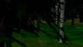 Stripped - Shiny Toy Guns