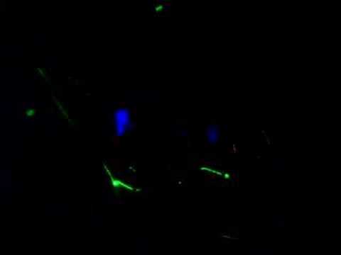 DJ Psyfreq spinning @ Stars Stripes & Electrolights