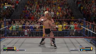 WWF Superstars Ted DiBiase 🆚 Dustin Rhodes