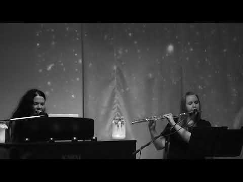Kraukļu dziesmiņa - Mēnesgaismas Naktsputni (koncertfragments - 2013)