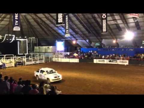 Liane veículos demostra Amarok no rodeio.