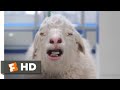 Clifford The Big Red Dog 2021 Saving Clifford Scene 8 10 Movieclips