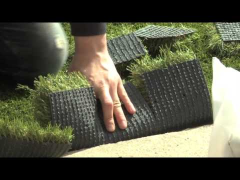 Installation of Artificial Grass