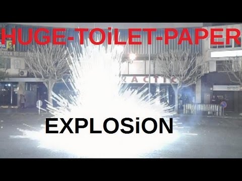Fallas 2013 - the fucking fucked france toiletpaperbomb. |HD|