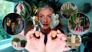 Cool Houseplant Accessories on Etsy!