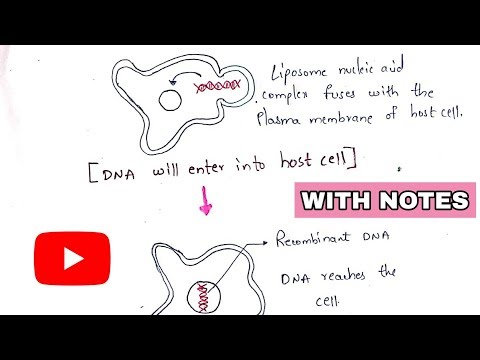 Tissue engineering Technique Procedure Bio science