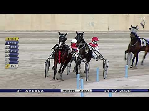 Aversa trotto 19 Dicembre 2020 - 3° Corsa