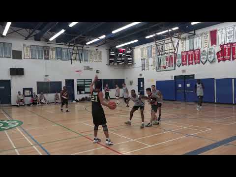 Dreamville(3) vs Bunch of Dogs(6) - sunday tier 2 playoffs - tcbl 2022 spring