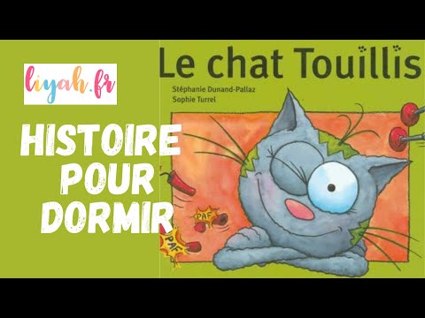HISTOIRE POUR DORMIR : Le Chat Touillis
