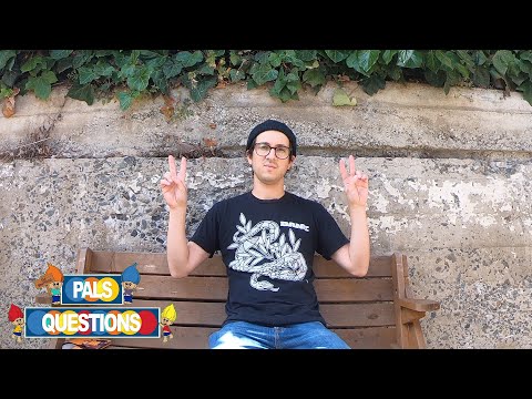 “Unofficial" Pals Questions - Kyle Camarillo (Part 1)