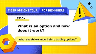 How to trade option in New Zealand? - Tiger Brokers