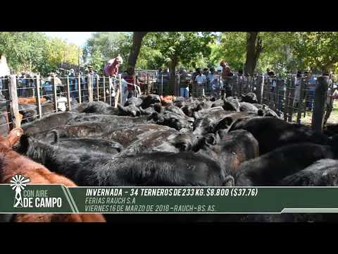 Resumen del remate de Ferias Rauch - Viernes 16 de marzo de 2018 - Rauch.