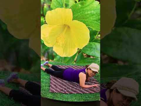 Taoto mai I o’u Tafatafa.!!! ( by Ukelady 🎸))March2021.