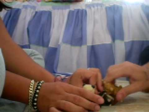 os animaizinhos felizes :)'