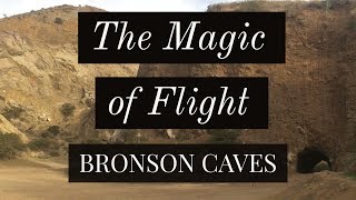 The Magic of Flight: Crows at the Bronson Caves in Hollywood, Los Angeles, CA