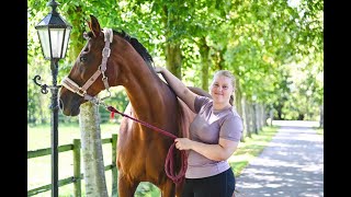 Nano CellCare therapie: positief effect op de blessure én op het gehele gestel van Evita