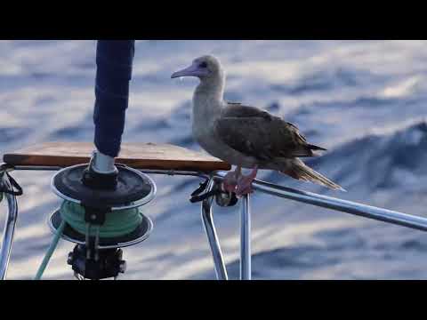 Touch The Sky (Ft. Oleka)