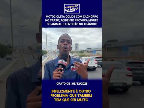 Motocicleta colide com cachorro no Crato; acidente provoca morte do animal e lentidão no trânsito